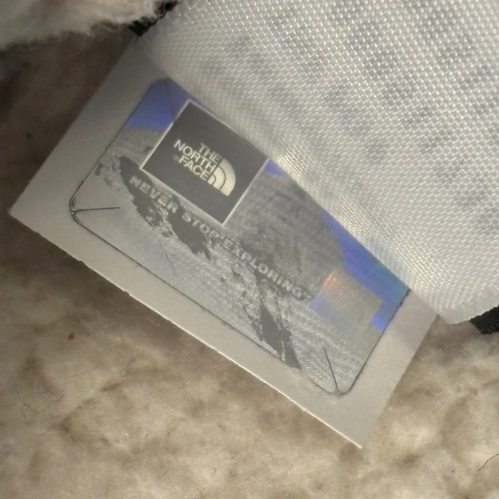 The North Face Campshire Pullover Hoodie Women's Sherpa Fleece Hoodie Warm Large - Picture 11 of 14